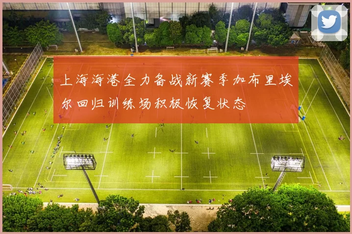 上海海港全力备战新赛季加布里埃尔回归训练场积极恢复状态