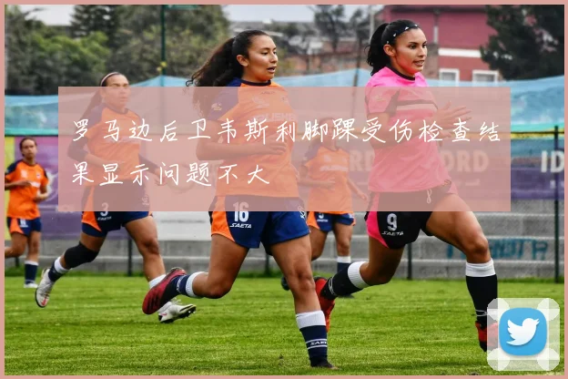 罗马边后卫韦斯利脚踝受伤检查结果显示问题不大